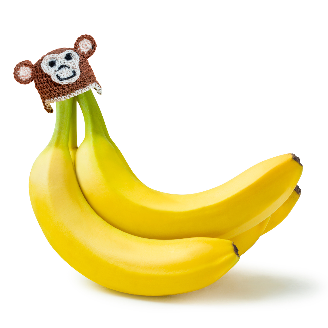 Monkey Nana Hat | Includes Standard Size BPA-Free Silicone Cap with Magnet